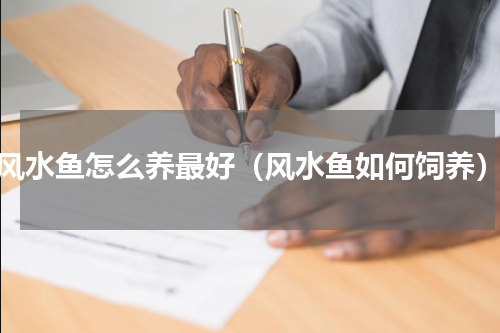 风水鱼怎么养最好（风水鱼如何饲养）